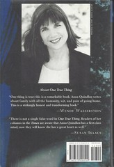 Anna Quindlen „Black and Blue” 1998 Hardcover Novel with Dust Jacket 296 Pages