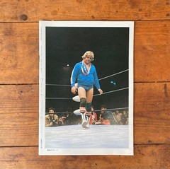 Pro Wrestling Album Set of 4 Featuring Backlund, Slaughter, Dusty Rhodes