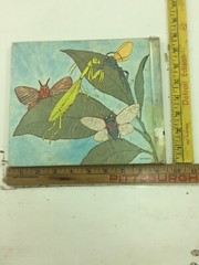 Bugs : Poems – Mary Ann Hoberman (1976, Hardcover)
