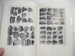 Smithsonian American Ethnology, Anthropological #s 63-67, Ecuador