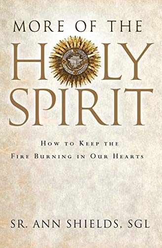 More of the Holy Spirit: How to Keep – Paperback, by Shields SGL Sr. – Very Good