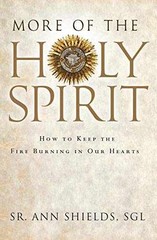 More of the Holy Spirit: How to Keep – Paperback, by Shields SGL Sr. – Very Good