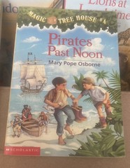 The Magic Treehouse books lot of 17