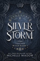 Silver Storm by Michelle Madow: New