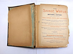 The Savage World A Complete Natural History J.W. Buel (1891, HC) 1st Eds Book