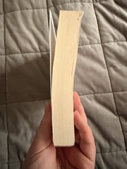 *Theo of Golden* By Allen Levi RARE SELF PUBLISHED 1st Edition Paperback