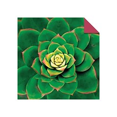 Origami Paper 500 sheets Succulents 6″ (15 cm): Tuttle Origami Paper: Double-Sid