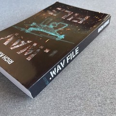 Wav File Paperback – February 2, 2021 by Rich King