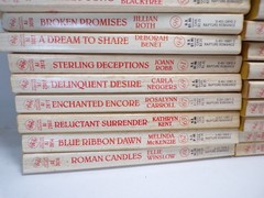 28 Rapture Romance Novels Multiple Titles Authors Numbers Paperback
