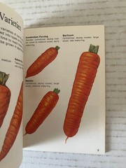 The Complete Carrot Caroline Francis 1981 First Ed Illustrated Mini Cookbook PB
