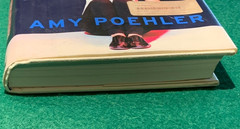 Yes Please by Amy Poehler SIGNED 1st/2nd HC DJ 2014 Essays Memoir