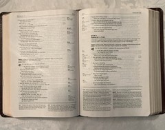 NLT Life Application Study Bible Bonded Leather Burgundy Red Letter Tyndale 1996