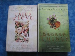 LOT OF 6 INSPIRATIONAL ROMANCE SC Tails of Love ON THIS DAY North Star Brides