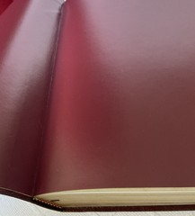 THE KNOWING JESUS STUDY BIBLE. NIB. Burgundy Leather. Free Shipping.