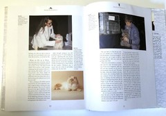 The Complete Book of The Cat Hard Cover Vintage 1992 Paddy Cutts