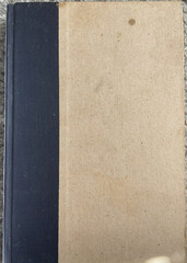 Earthly Remains by Hernon, Peter