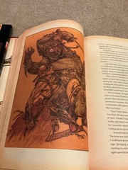 A Princess of Mars by Edgar Rice Burroughs IDW HC Illus by Michael W. Kaluta NM!