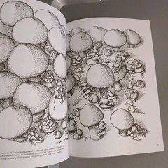 Vtg 1980 Elves, Gnomes and Other Little People Dover Coloring Book John O’Brien
