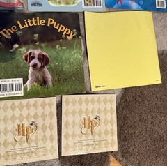 Lot 12 Childrens Story Books Disney Sesame Street Golden Dorothy Oz Harry Potter