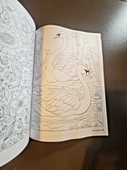 Variety Puzzles by Take-A-Break – Adult Activity Book – 100+ Large Print Puzzles