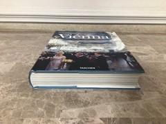 Vienna. Portrait of a City Christian Brandstätter Large Hardcover UNREAD Book