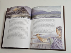 The Wanderings of Odysseus: THE STORY OF THE ODYSSEY Hardcover DUST JACKET 1996