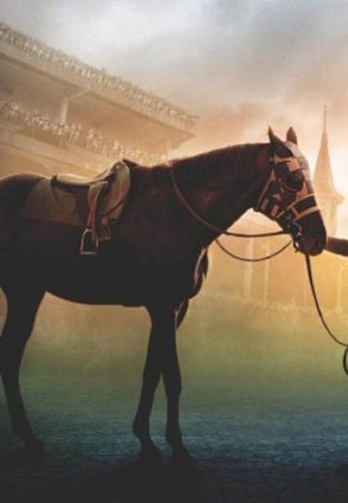 On Horses Hardcover Robert, Embery, Joan Vavra