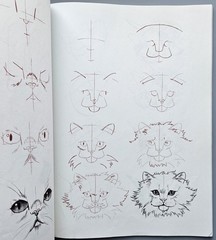 Draw 50 Animals Books Lot Lee J Ames Horses Cats Dogs Step-by-Step Drawing