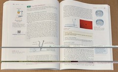 Conceptual Physics Global Edition by Paul G. Hewitt – Twelfth Edition GOOD+