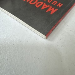 Madonna by M. Schreiber (1992, Trade Paperback)
