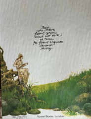 The Faeries Pop-Up Book Vintage by Harry N. Abrams 1980 HC VG condition
