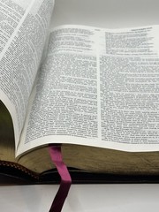 The NET Bible First Edition Premium Bonded Leather