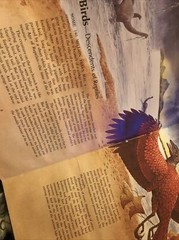 Album of Birds by Tom McGowen, Rod Ruth – Drawings & Color Illustration￼￼￼￼s