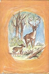 Bambi Felix Salten Deer Fawn Junior Deluxe Editions Book Hardcover Dust Jacket