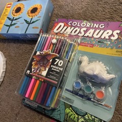 Variety Adult Coloring Books Pencil ETC