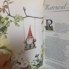 The #1 Bestseller Gnomes Forest Gnome Paperback Book
