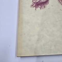 An Exaltation of Larks by James Lipton HC 1977 Expanded 2nd Edition Viking Press