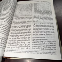 New Living Translation Bible (Giant Print) – Hardcover By Tyndale – GOOD