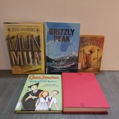 Lot of 10 Mixed Random Children’s Books and Young Adult Novels, Classic Stories