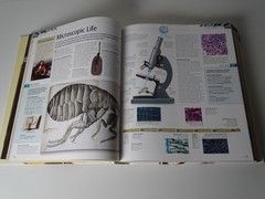 „Science: The Definitive Visual Guide / 512 Pages / Published In 2016