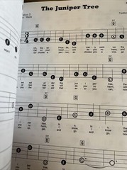 The GIANT BOOK OF AMERICAN FOLKSONGS E Z Play Today 349
