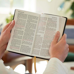 KJV Holy Bible: Personal Size Giant Print, Brown Leathersoft, Red Letter,…