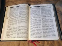 新譯和合聖經 New Chinese Version Union Parallel Bible Worldwide Bible Society
