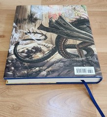 Harry Potter & The Goblet of Fire Illustrated by Jim Kay Hardcover 2019 NEW