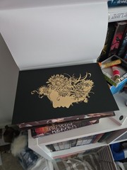 Shield of Sparrows Devney Perry GOLD Edition Romantasy sprayed edges Fantasy