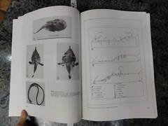 Brazil 1985 Collection of Paleontological Works in Portuguese Many Fossil Photos