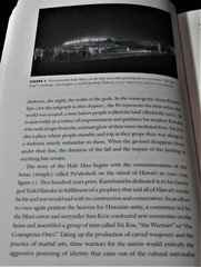 NATIVE MEN REMADE Gender and Nation in Contemporary Hawaii PB 2008 Culture