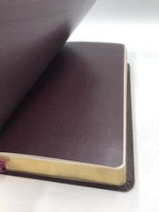 Sonrise Daily Devotional Bible~Thomas Nelson 2004 Bonded Leather ~ Burgundy
