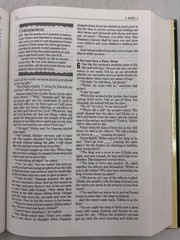 Parents Resource Bible 1995 Life Application Tyndale House Publishers