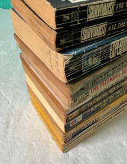Action Lot of 12 Books Survivalist Louis Lamour Thriller Mystery Western 80’s